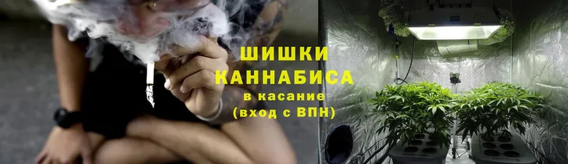 Канабис OG Kush  Почеп 